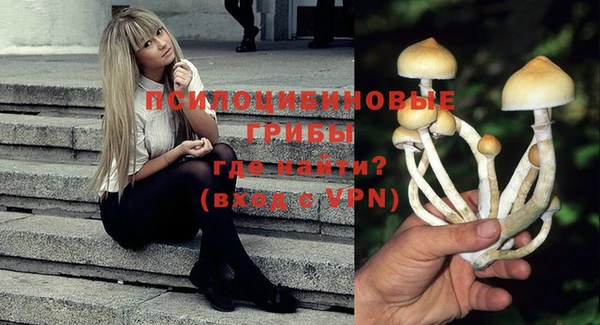 mdpv Дмитров