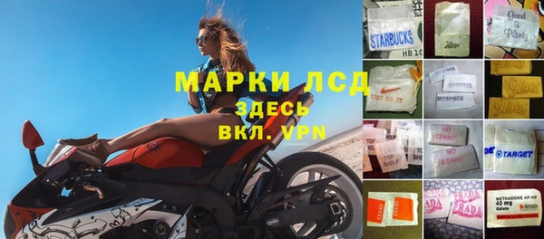 mdpv Дмитров